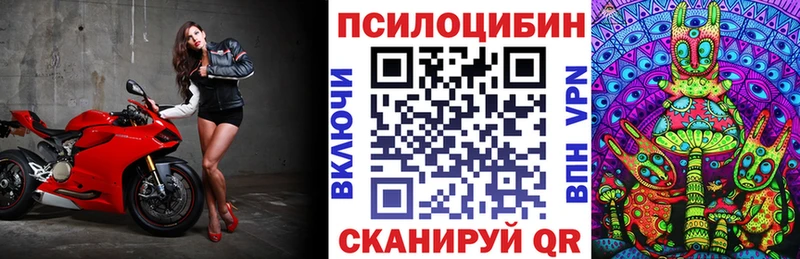 kraken сайт наркотики Инсар Галлюциногенные грибы MAGIC MUSHROOMS